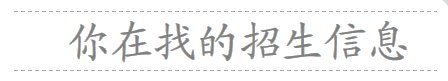 招生报名咨询